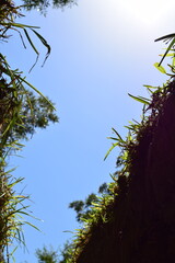 Looking Up at a Clear Blue Summer Sky from Bottom of a Trench