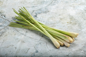 Lemongrass - Asian aroma plant for cooking