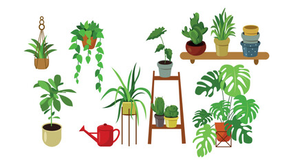 Set of beautiful indoor plants in a cartoon style. Vector illustration of various house plants in pots and on shelves: hanging plants, cacti, monstera, ficus, watering can for flower pots.