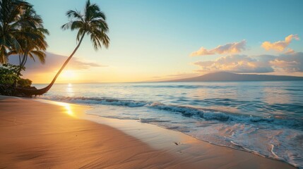 A serene beach at sunset with palm trees and a calm ocean, perfect for summer relaxation
