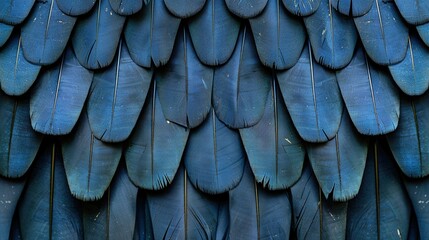   A blue bird's feathers are closely shown with many protruding from its back
