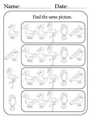 Birds Puzzle. Printable Activity Page for Kids. Educational Resources for School for Kids. Kids Activity Worksheet. Find Similar Shape