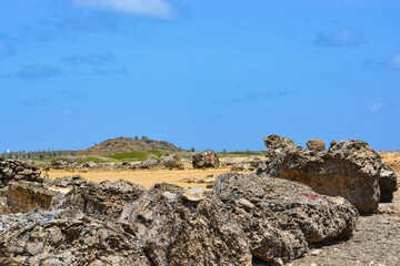Washington-Slagbaai National Park.
