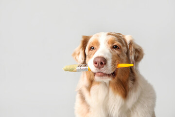 Cute dog with paint brush on light background