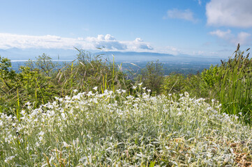 vue sur la région Genevoise depuis le col de la Faucille