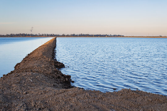 Campo de cultuvo de arroz con margen separador y cielo de puesta de sol en el delta del Ebro, Espa&ntilde;a