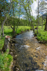 la Valserine, rivière sauvage