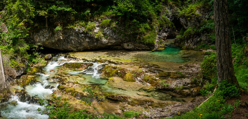 Val Brenta Adamello Brenta Natural Park - Trentino Dolomiti Italy