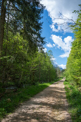 la Valserine, rivière sauvage