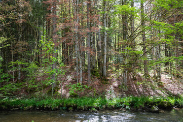 la Valserine, rivi&egrave;re sauvage