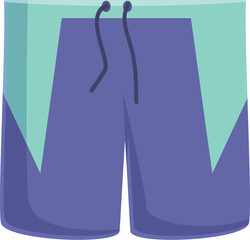 Colorful digital image showcasing a pair of modern swim shorts design