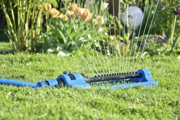  A sprinkler sprays water onto the grass of the lawn and flower bed in the garden. A modern garden...
