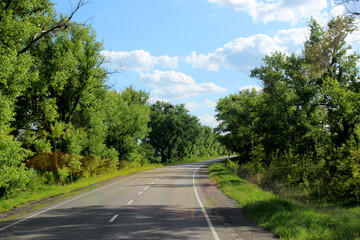 Fototapeta premium Green landscape. Horizon. Road. Bushes by the road. Blue sky. The way forward.