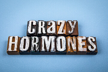 CRAZY HORMONES. Wooden alphabet letter blocks on blue textured background