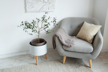 Grey armchair with plaid and cushion in light living room