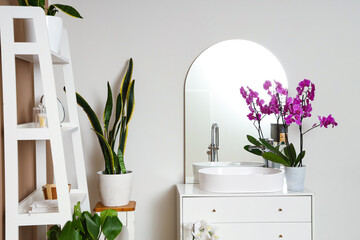 Orchid flower with sink and mirror in bathroom