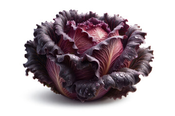 Obraz premium Red lettuce clean healthy eating diet