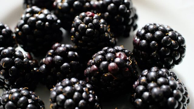 blackberries on plate in close-up