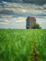 portrait view of abandoned wooden windmill in wheat field