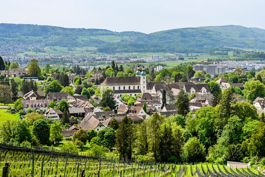 Arlesheim, Arlesheimer Dom, Dom, Domkirche, Weinberg, Dorf, Domkirche, Wanderweg, Birstal, Baselland, Fr&uuml;hling, Sommer, Schweiz