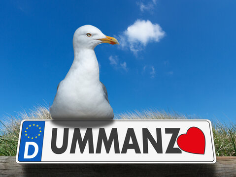 Liebe Ostseeinsel Ummanz, Autonummernschild mit Herz