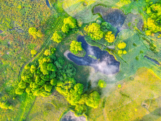 Aerial shot showcasing a serene lake surrounded by vibrant green foliage and meadows. The scene is bathed in soft morning light, highlighting the natural beauty and tranquility.
