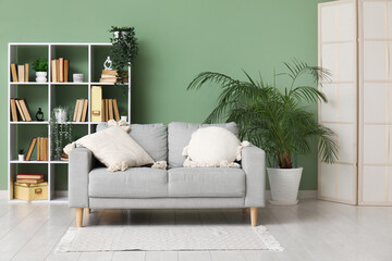 Interior of modern living room with sofa and bookshelf near green wall