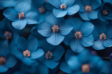 Bright blue background with flowers forget me nots. themes of beautiful nature, picture with copy space.