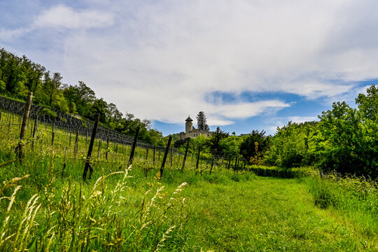 Arlesheim, Weinberge, Dorf, Weinbauer, Rebberg, Rebe, Schloss, Birseck, Schloss Birseck, Wanderweg, Birstal, Baselland, Fr&uuml;hling, Fr&uuml;hsommer, Schweiz