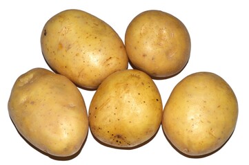 Young potatoes isolated on a white background