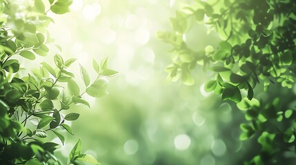 Obraz premium Fresh Botanical Gradient - Close-Up Realistic Manipulation of Dark Green to Light Lime Natural Blend for Refreshing Feel