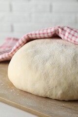 Fresh raw homemade dough on light table