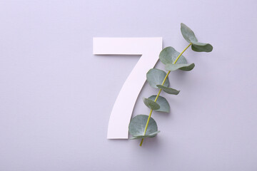 Paper number 7 and eucalyptus branch on light grey background, top view