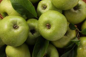 Fresh ripe green apples with water drops and leaves as background, top view