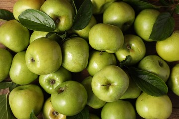 Fresh ripe green apples with leaves as background, top view