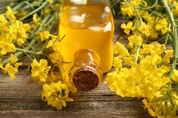 Rapeseed oil in glass bottle and beautiful yellow flowers on wooden table, closeup