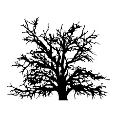 Obraz premium Tree Silhouette Vector Clipart
