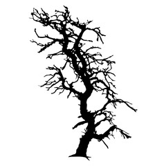 Tree Silhouette Vector Clipart