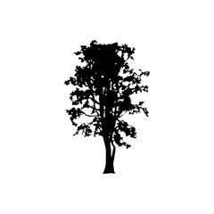 Fototapeta premium Tree Silhouette Vector Clipart 