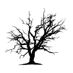 Tree Silhouette Vector Clipart.