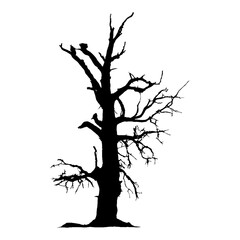 Tree Silhouette Vector Clipart.