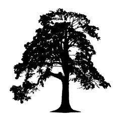 Fototapeta premium Tree Silhouette Vector Clipart.