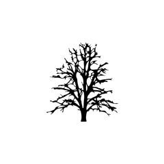 Obraz premium Tree Silhouette Vector Clipart.