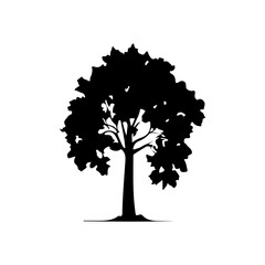 Fototapeta premium Tree Silhouette Vector Clipart.