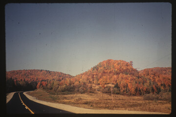 Vintage film photo of landscape
