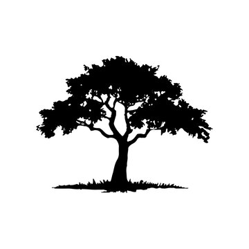recommend clip art: Tree Silhouette Vector Clipart.