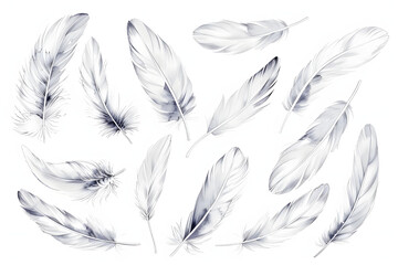 beautiful collection sketching white feather isolated on white background AI