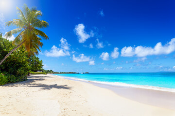 The Beautiful Beaches Antigua And