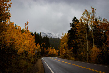 A mountain road and orange and yellow aspen trees in the Rocky Mountains (Breckenridge, Colorado, USA) on an autumn day