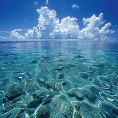 Pure water with a serene sea landscape, natural refreshment. Above and below surface of the sea with coral reef underwater and a cloudy blue sky.